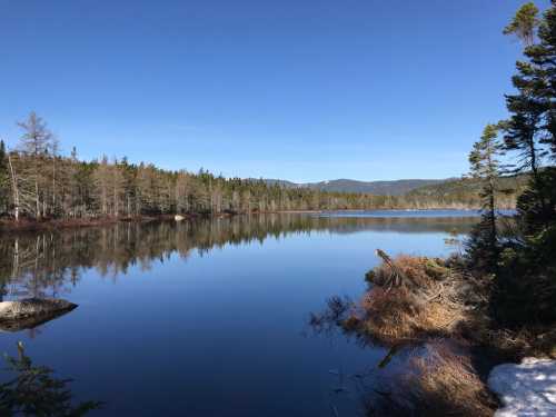 A serene lake surrounded by trees under a clear blue sky, reflecting the landscape in calm waters.