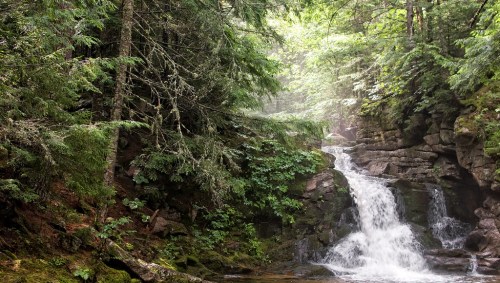 A serene waterfall cascades over rocks, surrounded by lush green trees and mist in a tranquil forest setting.