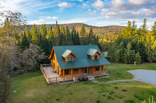 A rustic wooden cabin with a green metal roof, surrounded by trees and mountains under a blue sky.