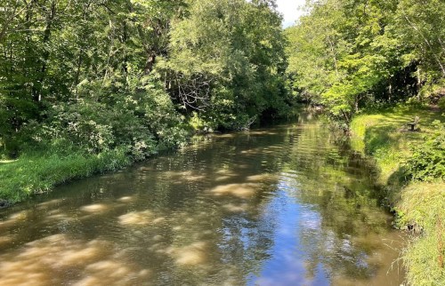 A serene river flows through a lush green landscape, reflecting trees and sunlight on the water's surface.