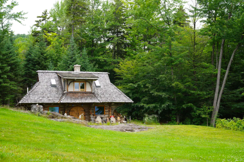 A charming wooden cabin surrounded by lush green trees and a grassy lawn.