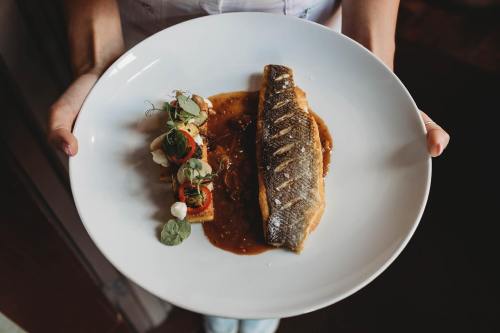 A person holds a large white plate featuring grilled fish with a savory sauce and a colorful vegetable garnish.