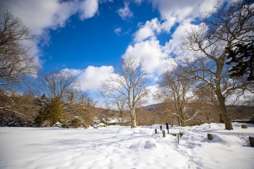 A snowy landscape with bare trees under a bright blue sky and fluffy white clouds.