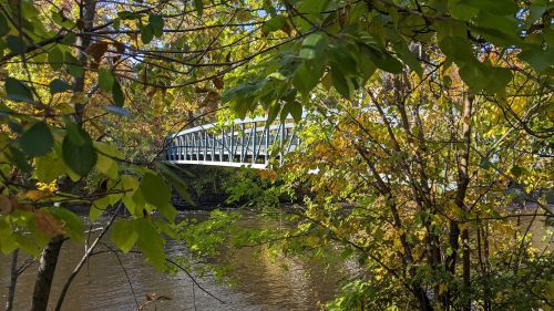 A modern bridge spans a river, framed by vibrant autumn leaves and trees.