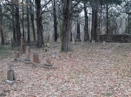 A quiet, overgrown cemetery with weathered gravestones surrounded by tall trees and fallen leaves.