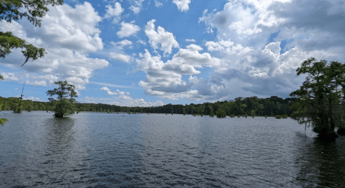 A serene lake surrounded by trees under a blue sky with fluffy clouds, reflecting on the water's surface.