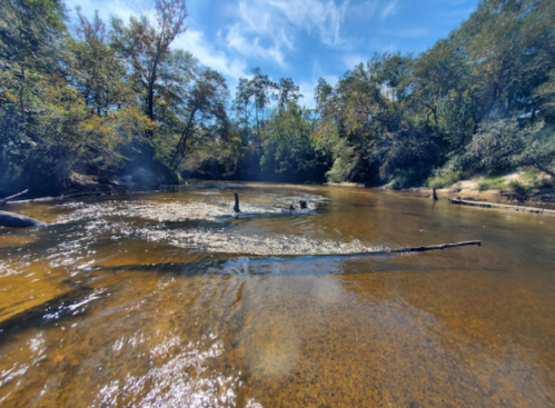 A serene river scene with clear water, surrounded by trees and a blue sky, reflecting nature's tranquility.