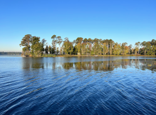 A serene lake scene with calm water reflecting trees and a clear blue sky.