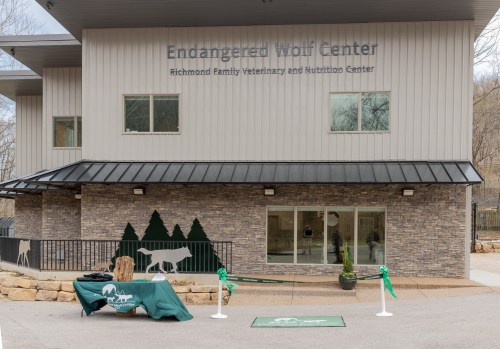 Exterior of the Endangered Wolf Center, featuring a modern building and a green ribbon cutting area.