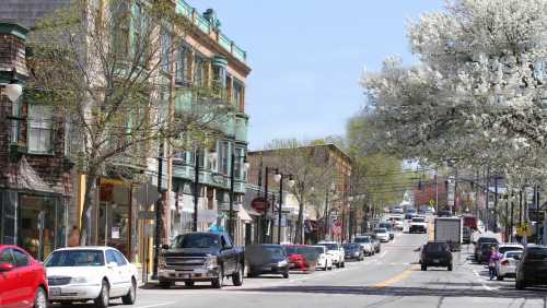 A bustling street lined with shops, trees, and parked cars on a sunny day, leading to a distant building.