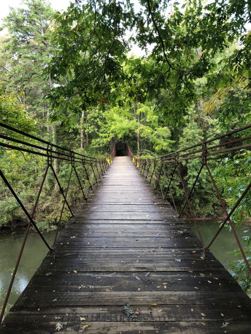 A wooden suspension bridge surrounded by lush greenery, leading over a calm river.