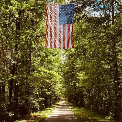 A large American flag hangs between trees over a peaceful, tree-lined path.