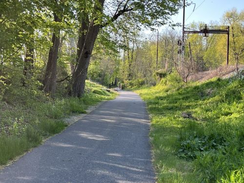 A peaceful, tree-lined path with greenery on both sides, leading into a sunny distance.