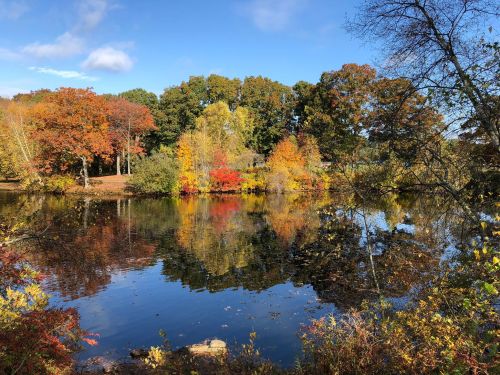 A serene lake surrounded by vibrant autumn foliage and clear blue skies, reflecting the colorful trees.