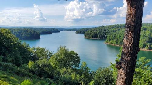 A serene lake surrounded by lush green trees under a partly cloudy sky.
