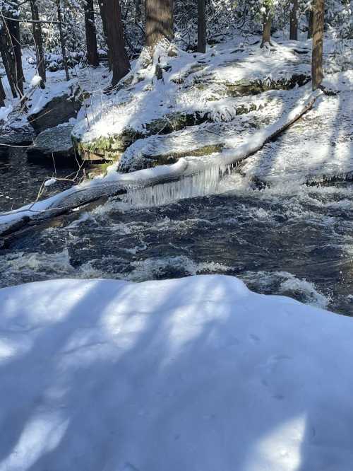 A snowy landscape with a flowing stream, featuring icicles hanging from a log over the water.