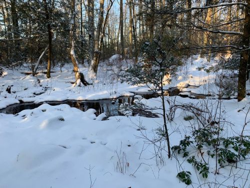 A serene winter scene with a snow-covered forest and a small stream reflecting the sunlight.