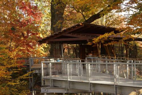 A wooden structure surrounded by vibrant autumn foliage and trees, with a walkway leading to it.