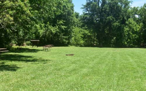A sunny park with green grass, picnic tables, and trees in the background.