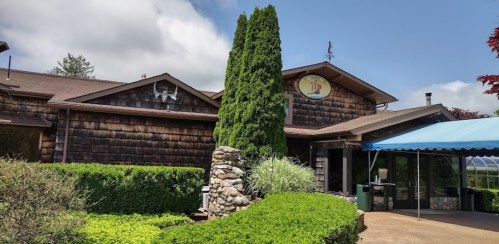 A rustic wooden building with a stone entrance, surrounded by lush greenery and a blue awning.