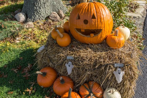 A cheerful carved pumpkin sits atop a hay bale, surrounded by various pumpkins and ghost decorations.
