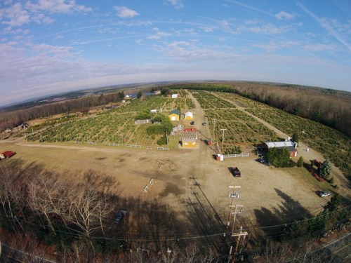 Aerial view of a large farm with rows of crops, buildings, and a clear sky in the background.