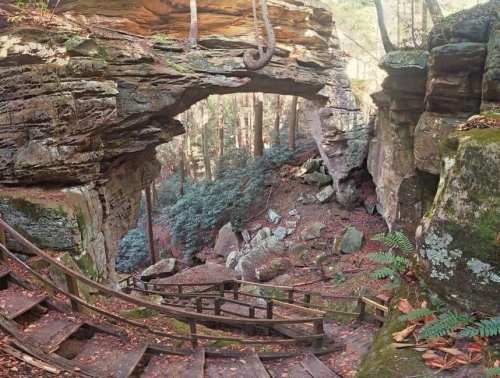 A stone archway surrounded by lush greenery and rocky terrain, with wooden steps leading down through the forest.