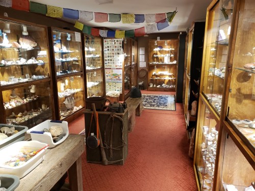 A museum display featuring glass cases filled with various rocks and minerals, with a cozy, inviting atmosphere.
