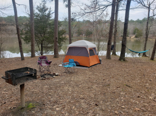 A campsite by a lake featuring a tent, two chairs, a hammock, and a grill surrounded by trees and fallen leaves.
