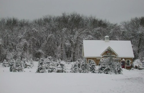 A cozy house surrounded by snow-covered trees in a winter landscape.