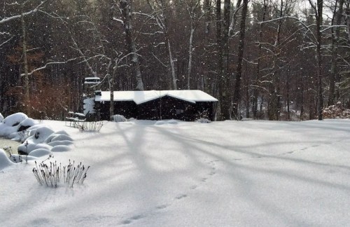 A snowy landscape with a cabin in the background, surrounded by trees and gentle snowfall. Footprints in the snow.