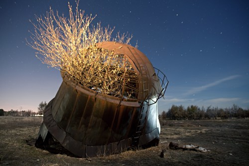 A rusted metal structure with a tree growing from it, set against a starry night sky.