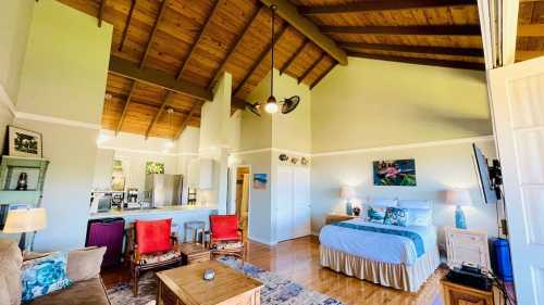 Cozy bedroom with high wooden ceilings, a bed, seating area, and kitchenette, featuring bright decor and natural light.