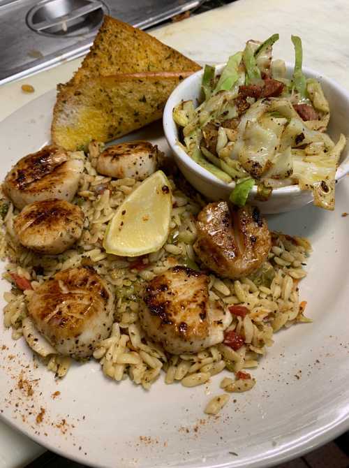 A plate of grilled scallops on orzo with lemon, garlic bread, and a side of coleslaw.