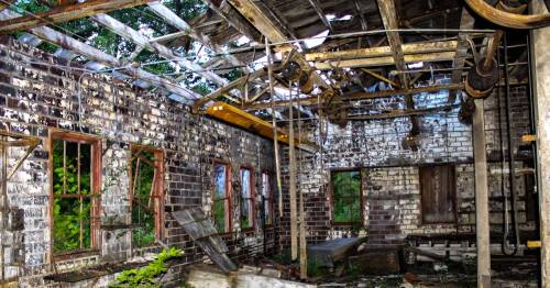 Abandoned building interior with crumbling walls, broken windows, and overgrown vegetation.