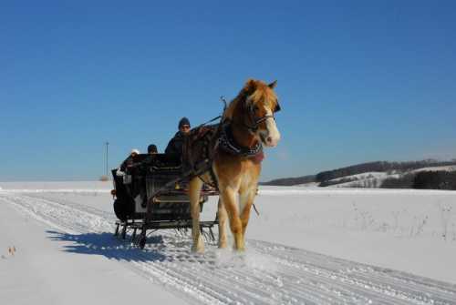 A horse-drawn sleigh travels through a snowy landscape under a clear blue sky.