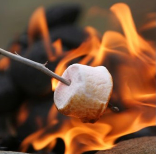 A marshmallow on a stick is being roasted over a campfire, with flames and glowing coals in the background.