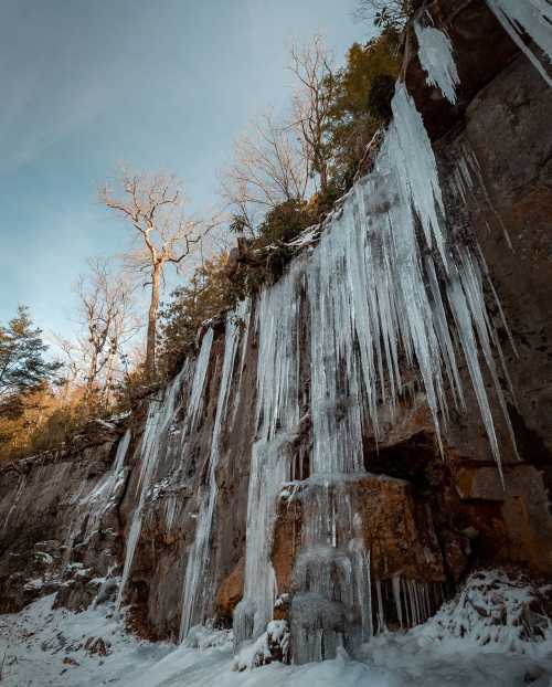 Icicles hang from a rocky cliff, surrounded by trees and a snowy landscape under a clear blue sky.