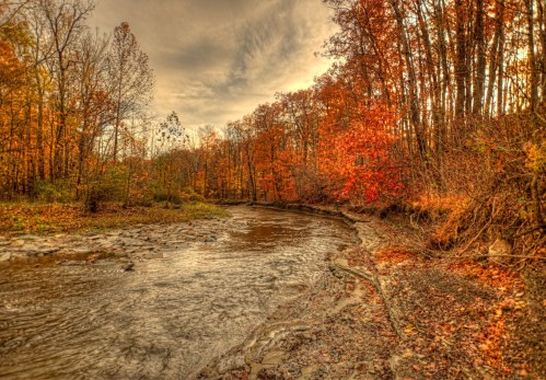 A serene river flows through a forest with vibrant autumn foliage, reflecting warm colors under a cloudy sky.