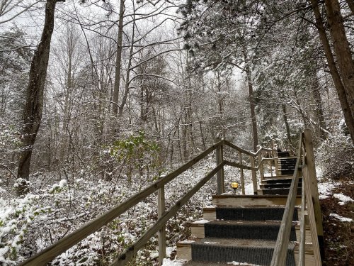 A snowy staircase leads through a forest, surrounded by trees and a winter landscape.