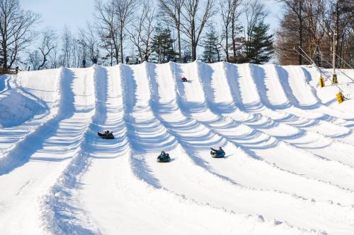 People sledding down a snowy hill with tree-lined background on a sunny winter day.