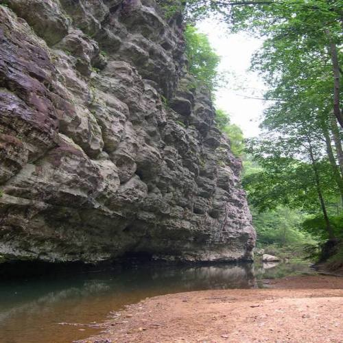 A rocky cliff beside a calm river, surrounded by lush green trees and foliage.