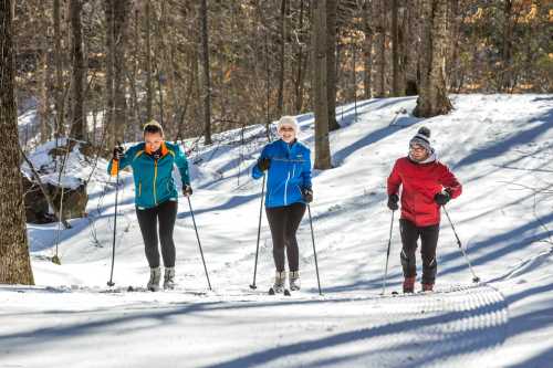 Three women cross-country skiing on a snowy trail surrounded by trees on a sunny day.