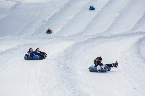 People tubing down a snowy slope, enjoying a winter day with tracks carved into the snow.
