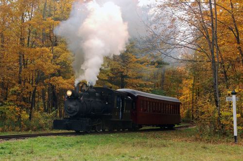 A vintage steam train chugs through a forest of vibrant autumn leaves, with smoke billowing from its chimney.