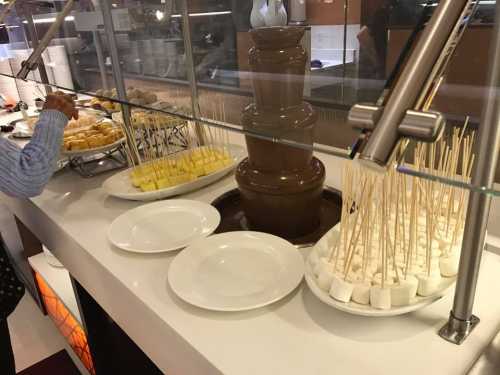 A dessert station featuring a chocolate fountain, skewered fruits, and marshmallows on plates.