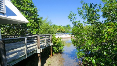 A wooden walkway leads through lush greenery to a sandy beach with palm trees under a clear blue sky.