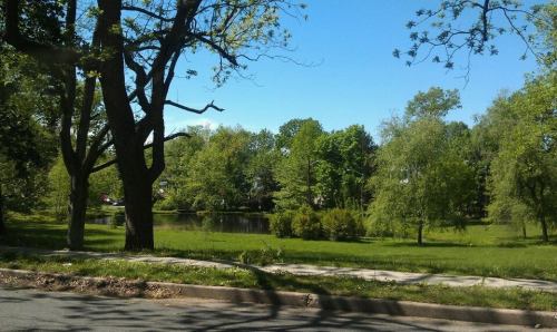 A serene park scene featuring lush green trees and a calm pond under a clear blue sky.
