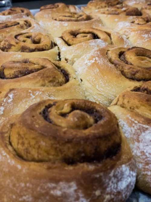 Freshly baked cinnamon rolls arranged closely together, showcasing their golden-brown swirls and powdered sugar dusting.