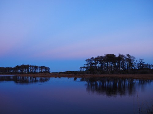 A serene landscape at dusk, featuring a calm water body reflecting trees and a gradient sky in shades of blue and purple.
